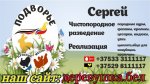 2023-09-15-08-20-32-691_103357.jpg